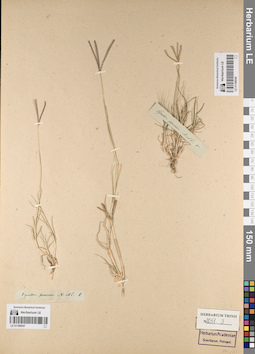 LE 01166047