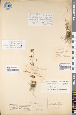 LE 01070839
