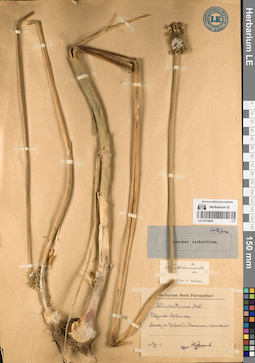 LE 01070849
