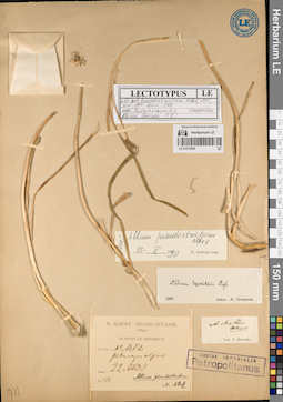 LE 01070855