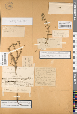 LE 01057029