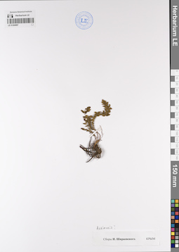 LE 01204997