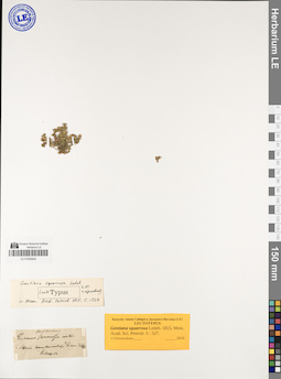 LE 01050644