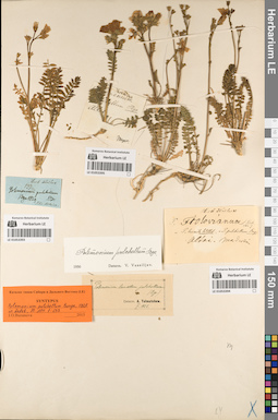 LE 01053393