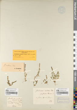 LE 01057185