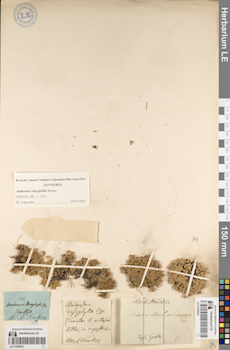 LE 01056642