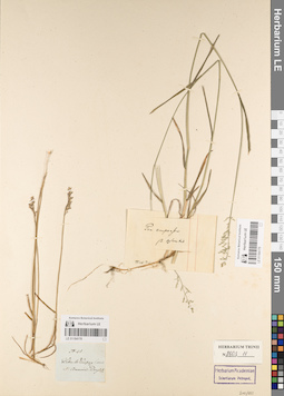 LE 01184178