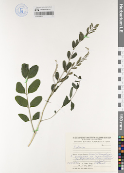 LE 01220074