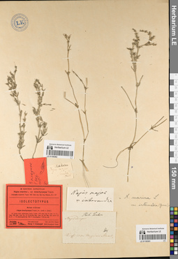 LE 01195362