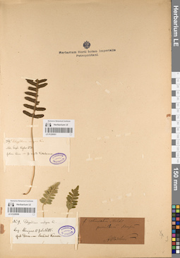 LE 01220550