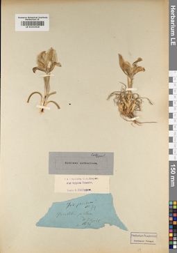 LE 01010418