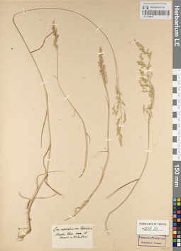 LE 01184412
