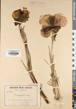LE 01010444