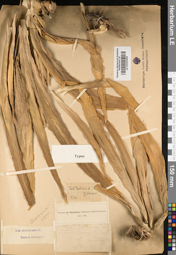 LE 01010459