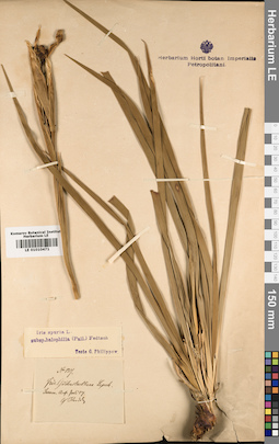 LE 01010471