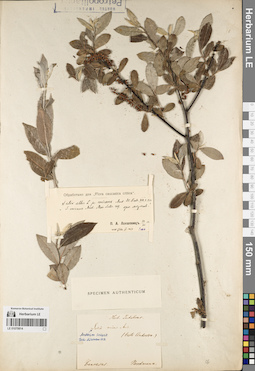 LE 01070814