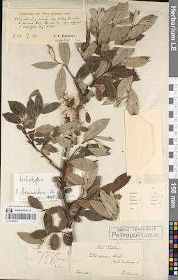 LE 01070815