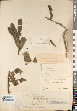 LE 01070823