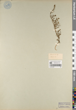 LE 01051987
