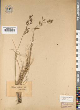 LE 01010143
