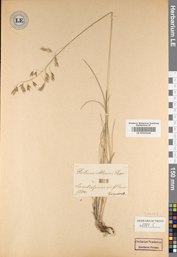 LE 01010144