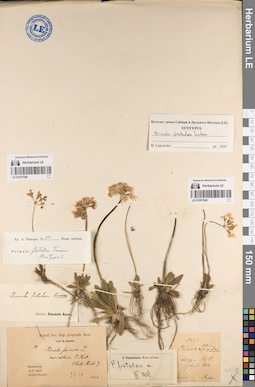 LE 01057049