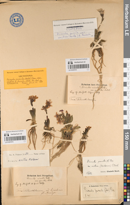 LE 01057073