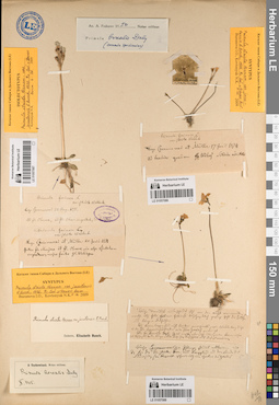 LE 01057086