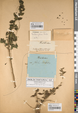 LE 01219176