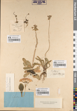 LE 01057097