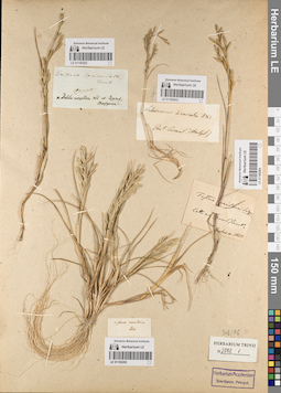 LE 01185205