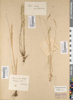 LE 01185849