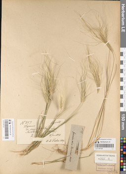 LE 01187127