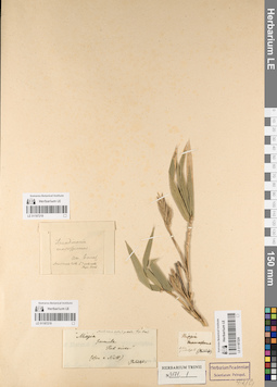 LE 01187218