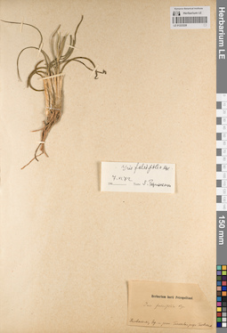 LE 01223228