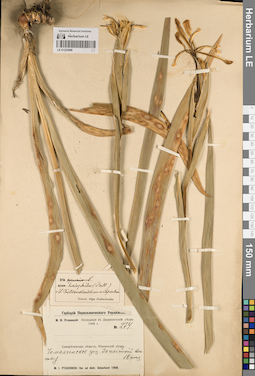 LE 01223608