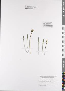LE 01190189