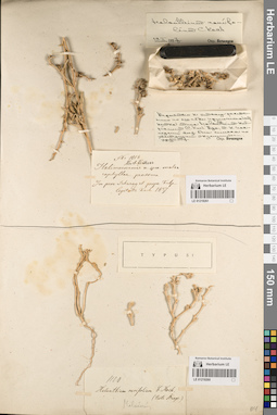 LE 01219260