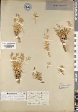 LE 01010210