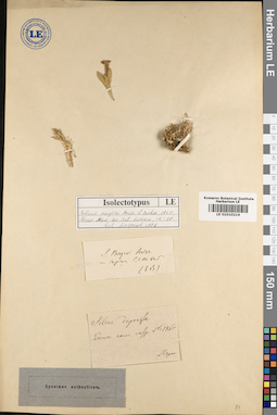 LE 01010214
