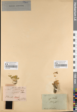 LE 01219739