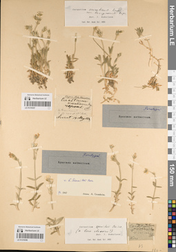 LE 01219357