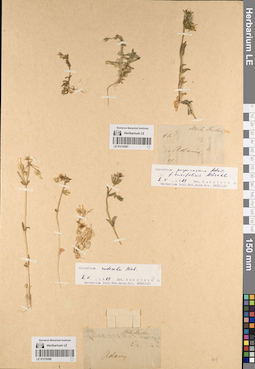 LE 01219387