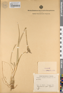 LE 01221050