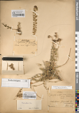 LE 01219784