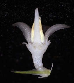 LE 01123715