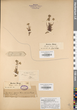 LE 01038730