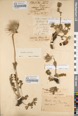 LE 01219808
