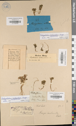 LE 01038761