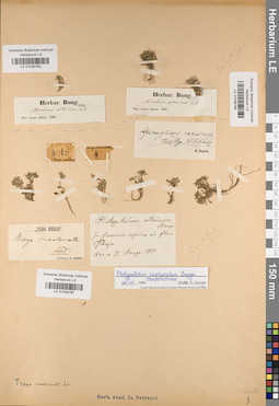 LE 01038763